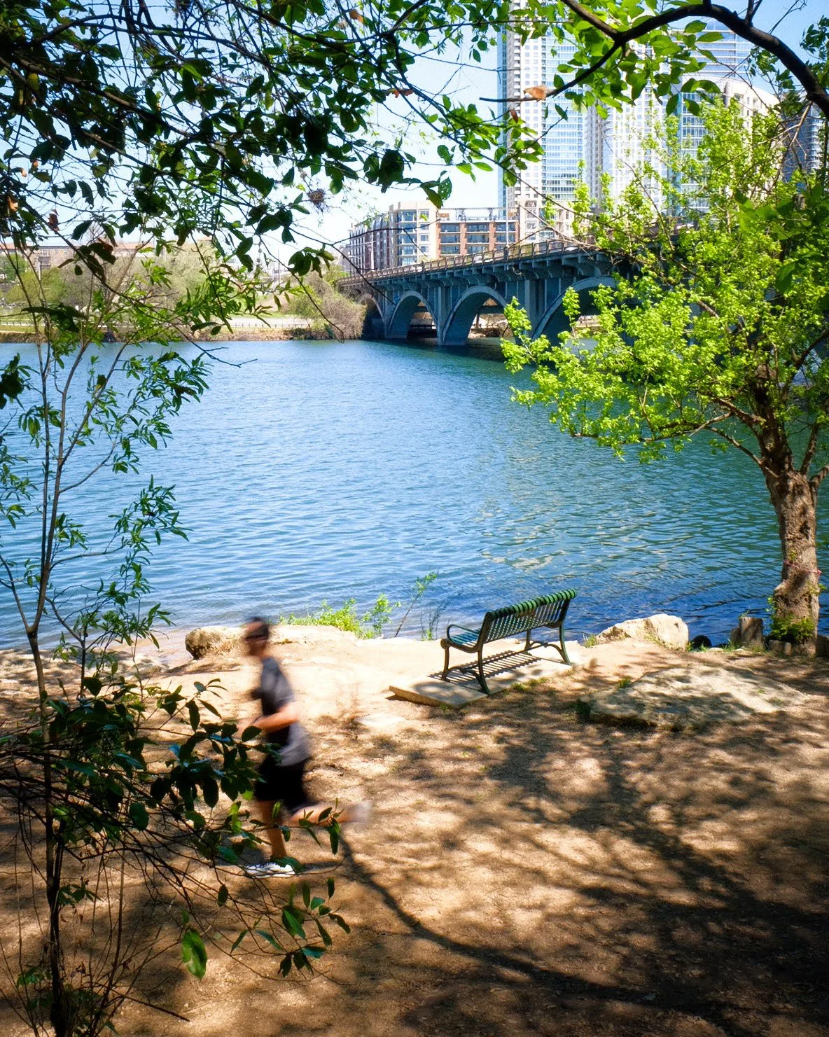 View of the South Congress bridge from the Lady Bird Lake trail