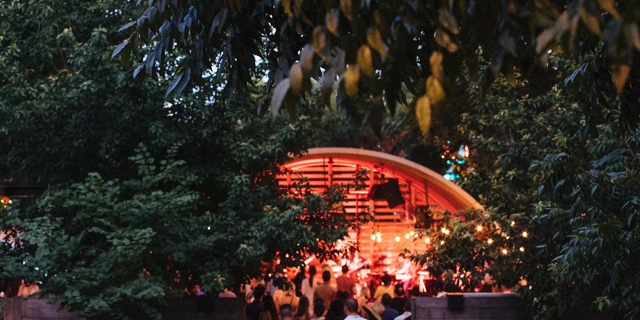concert and trees at carpenter hotel