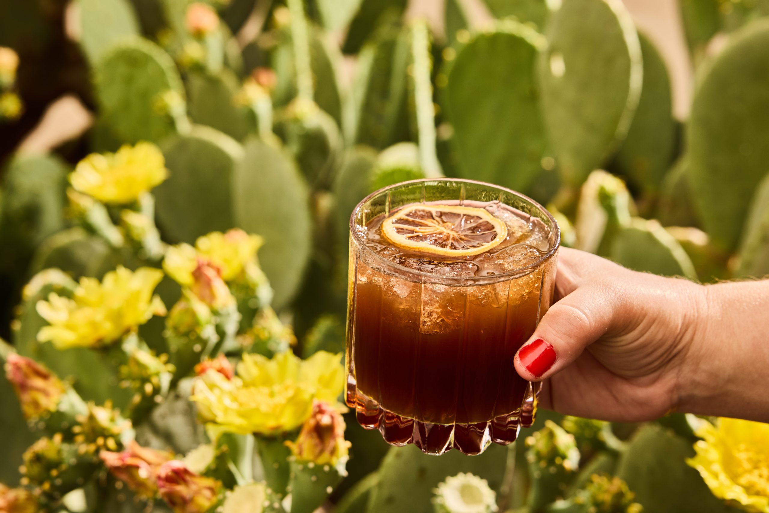 A hand holding a cocktail glass