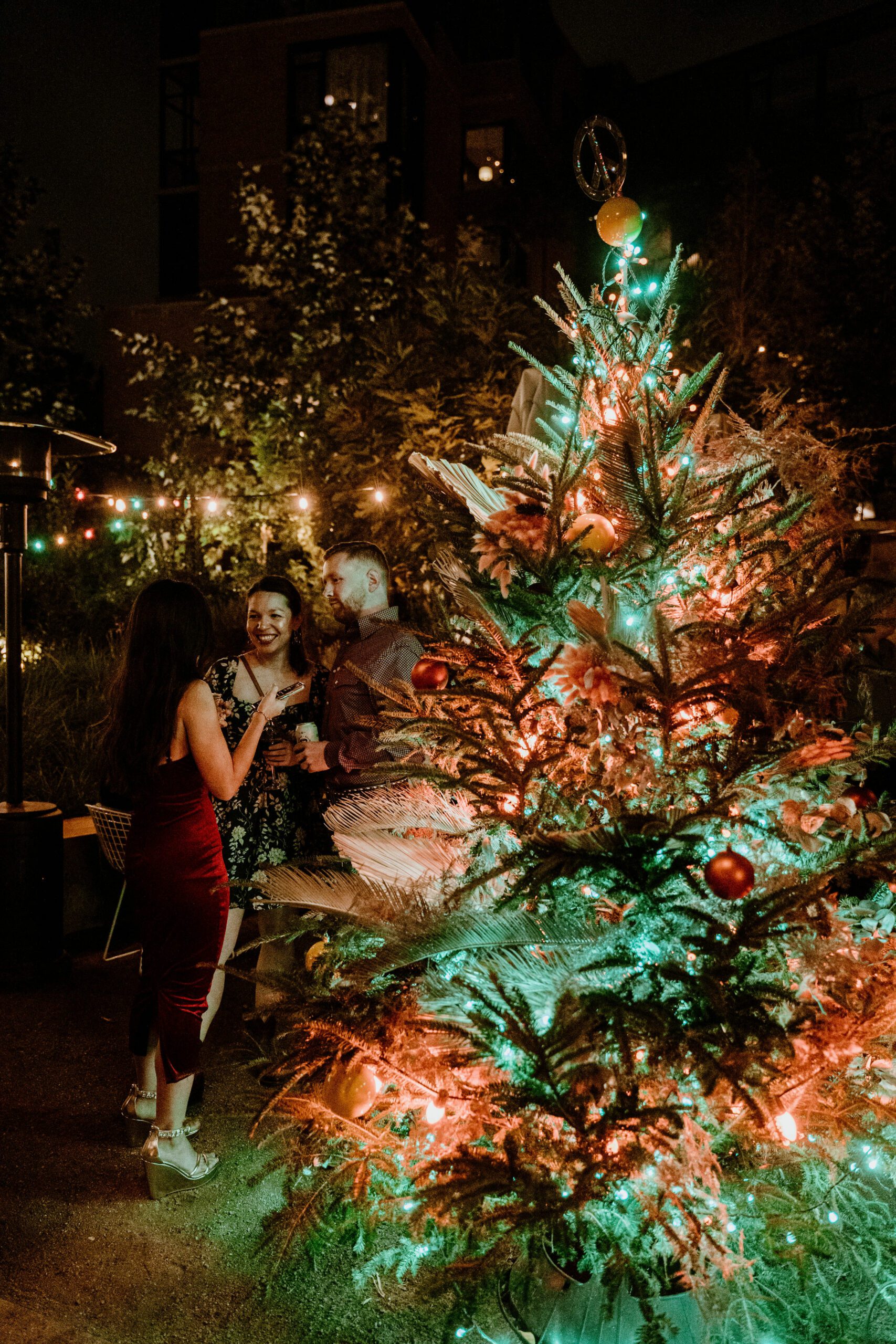 Decorated Christmas tree at night at Hotel Magdalena