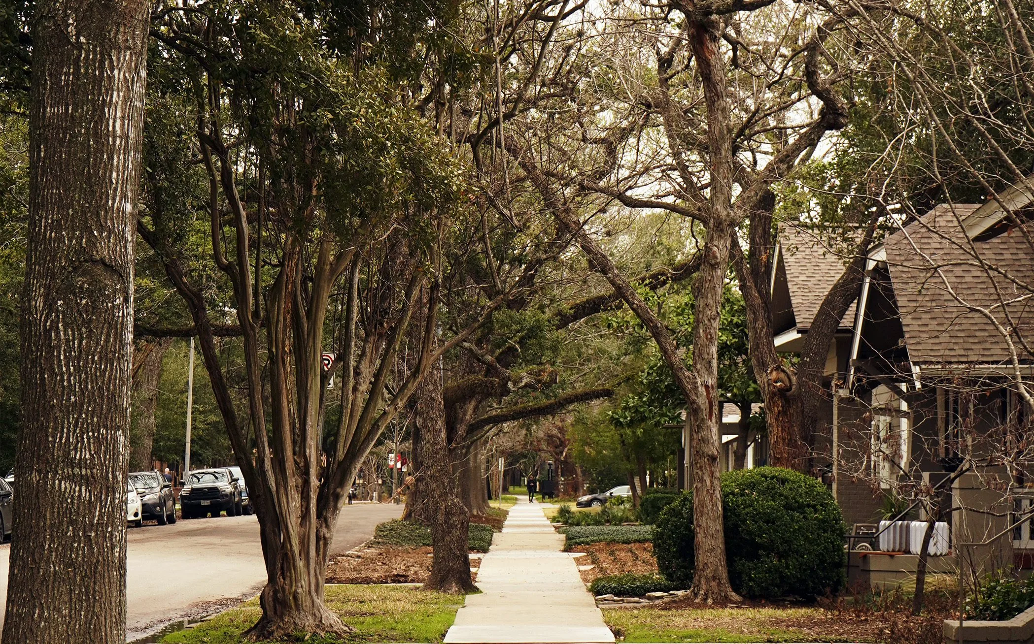A tree-lined sidewalk in Montrose, Houston