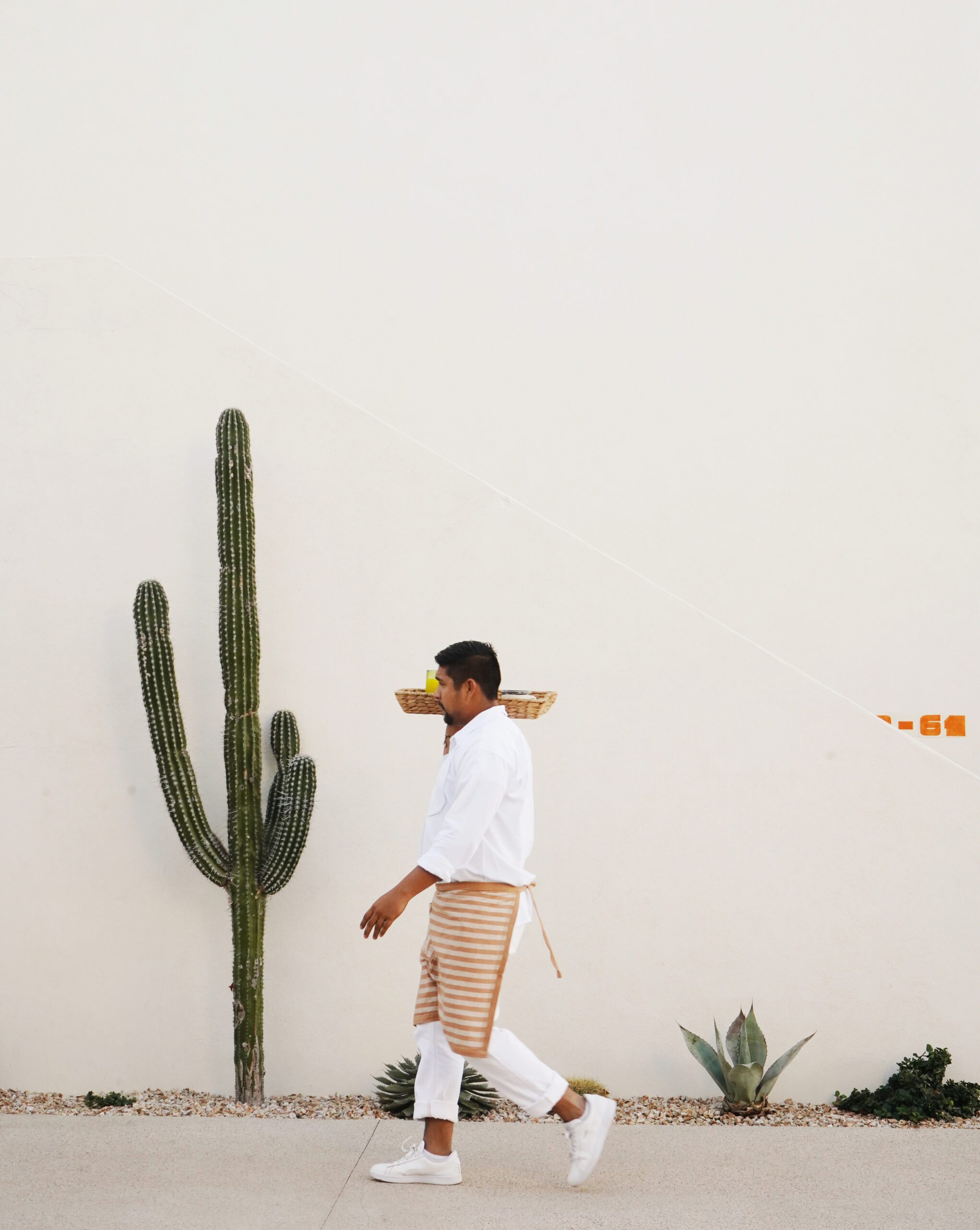 Man holding a tray walking beside a white wall and single cactus