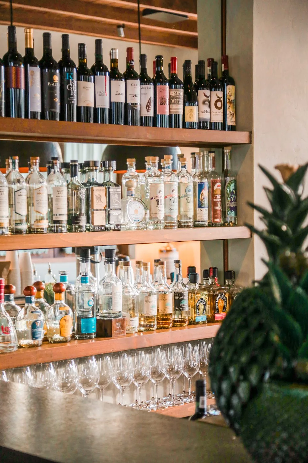 Shelves of wine and spirits behind a bar