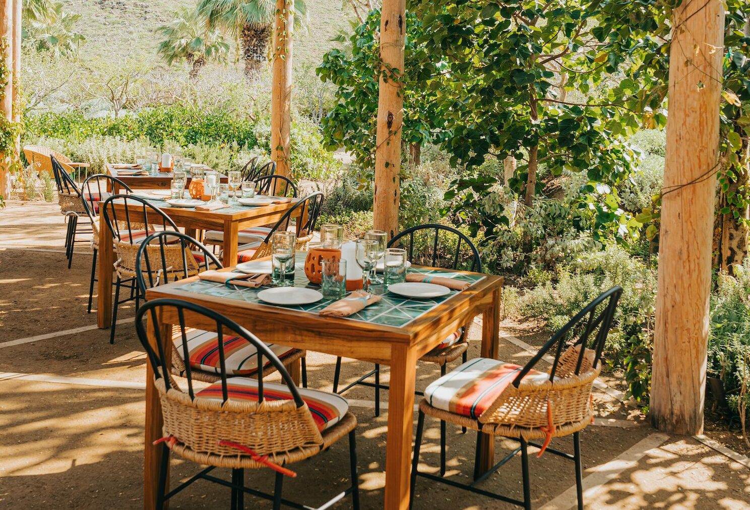 table and chairs at Cosecha