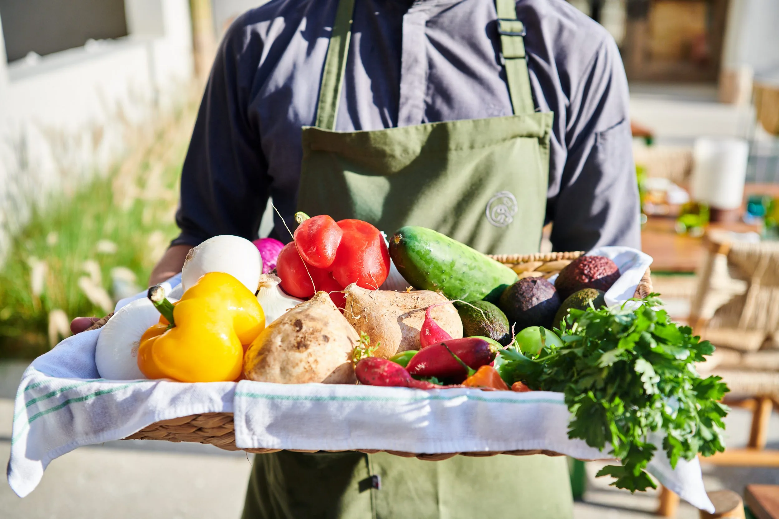 person holding vegetables