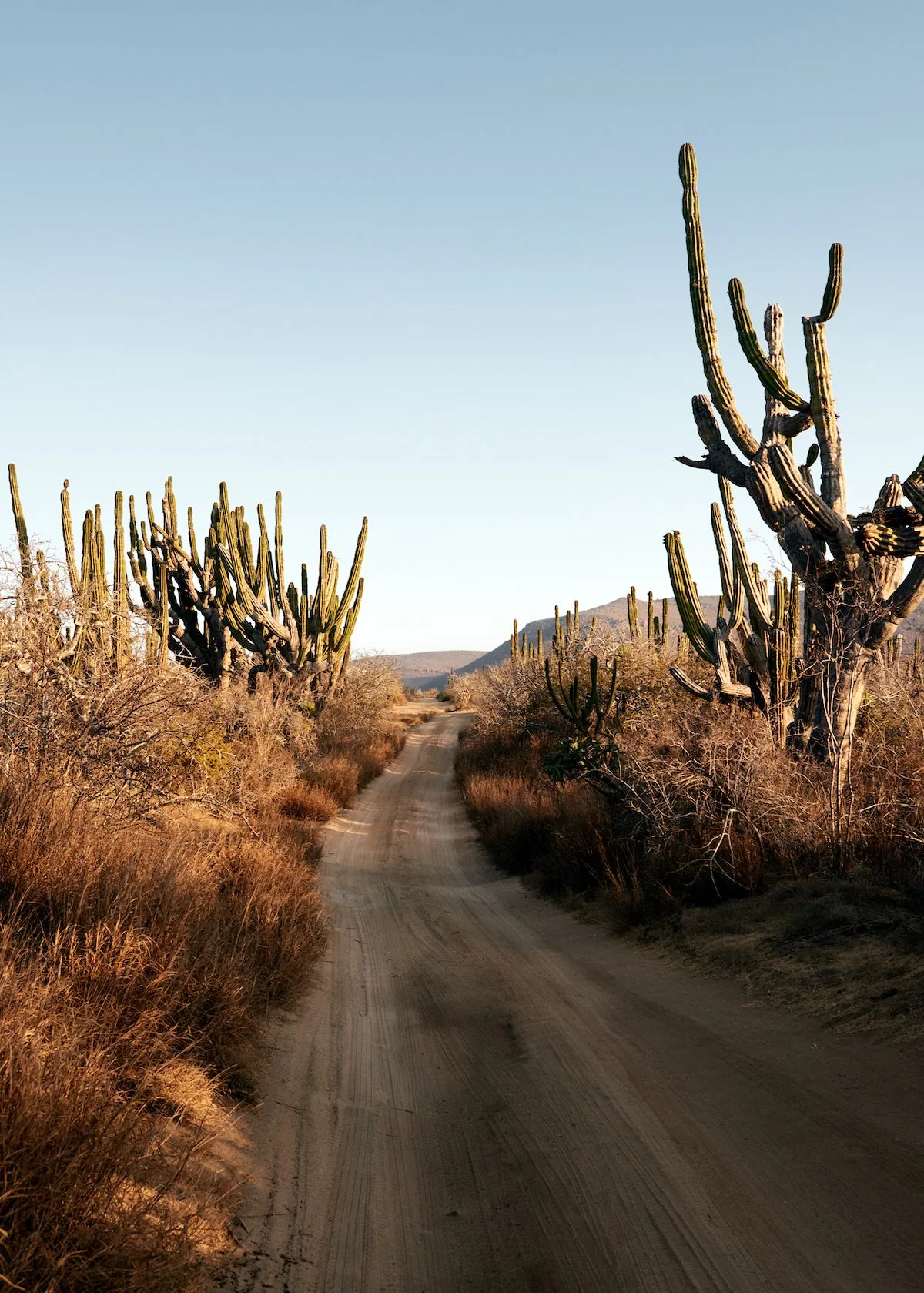 dirt road in todos