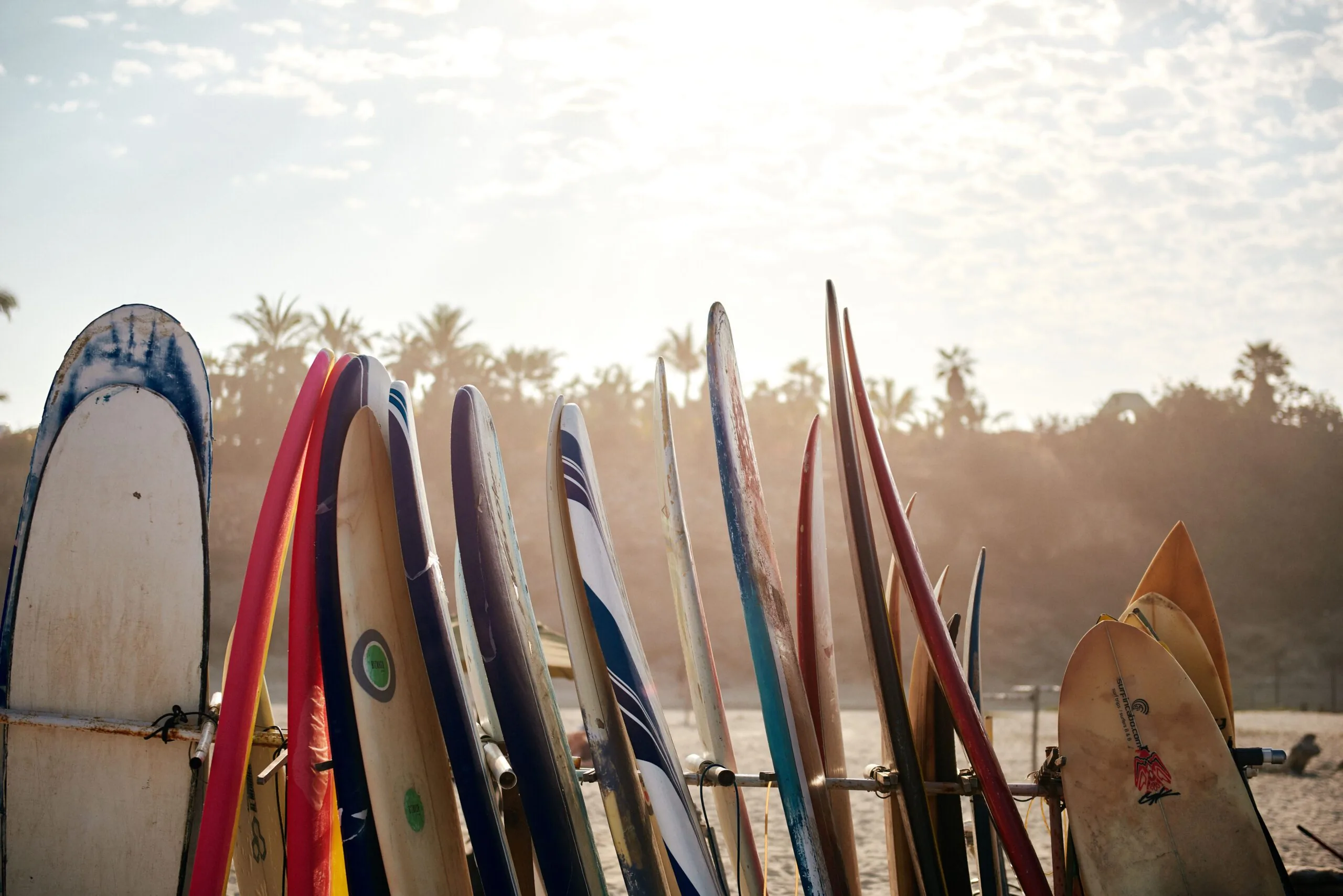 surfboards