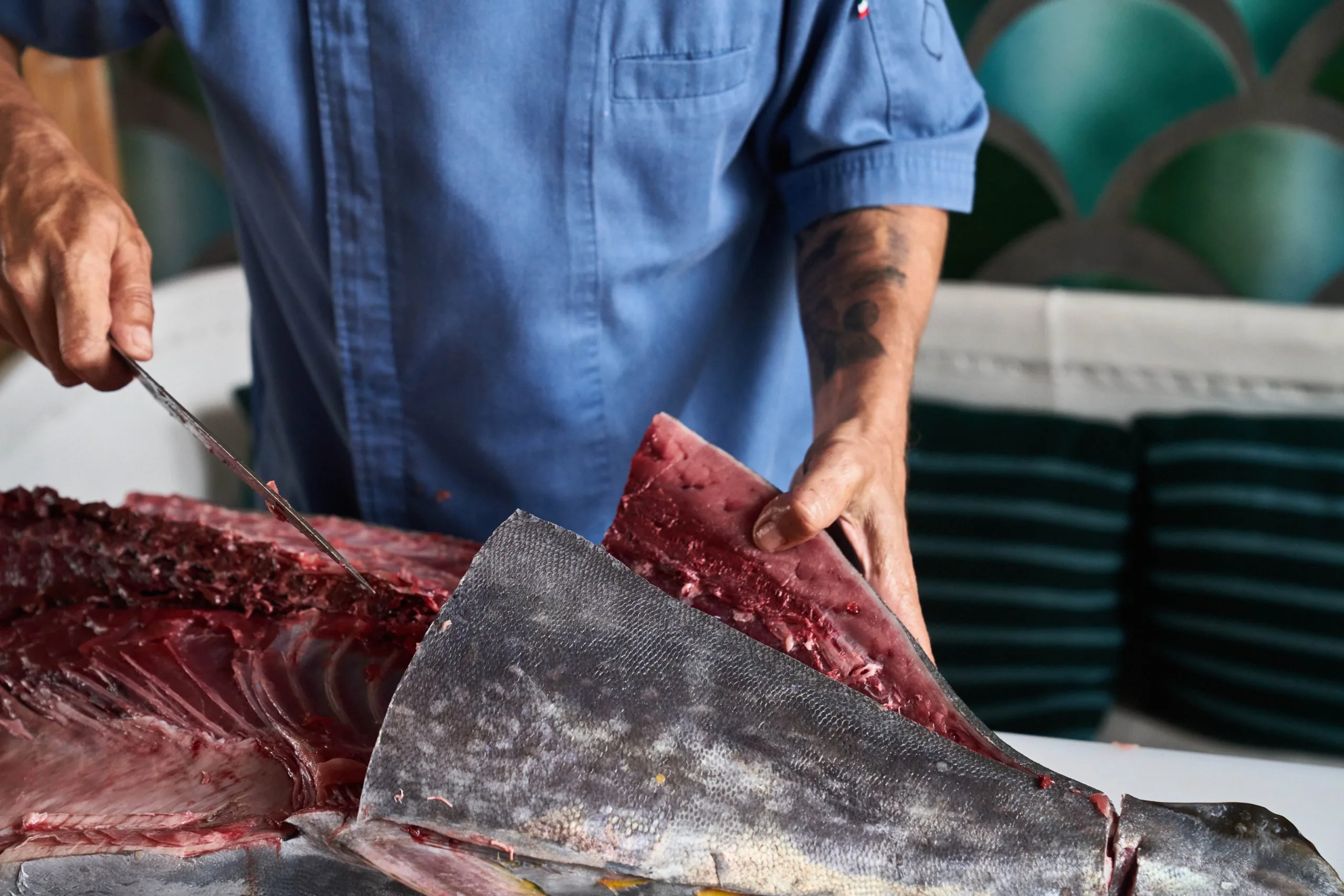 fish getting cut up