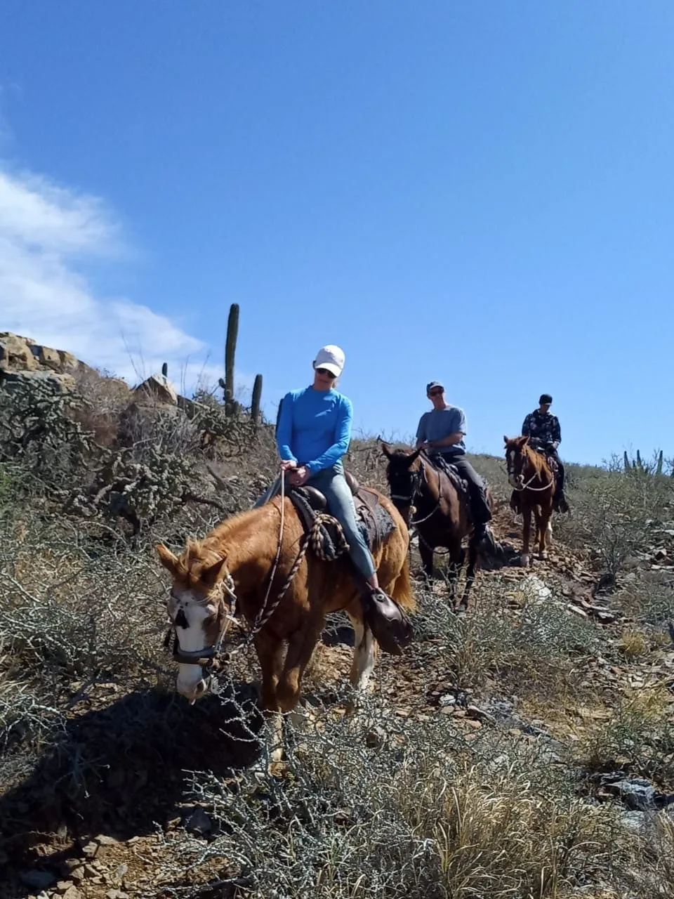 horseback riding