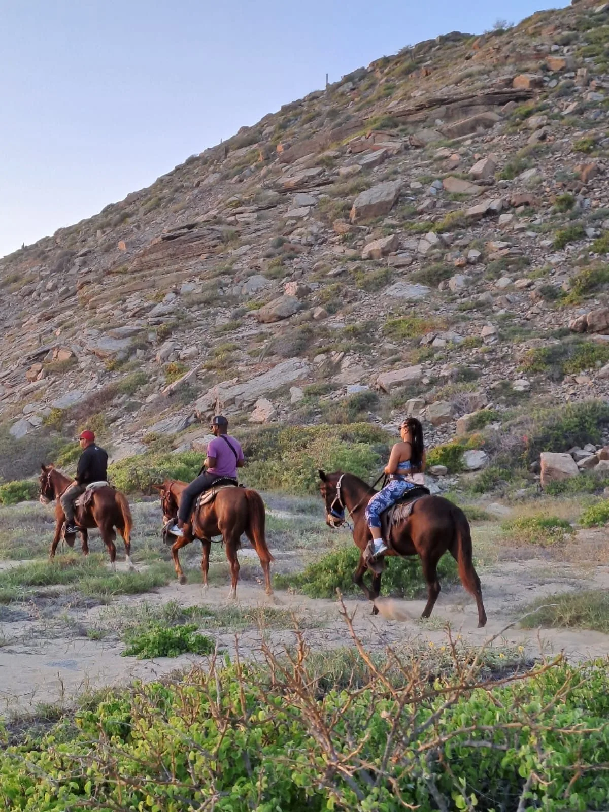people on horseback