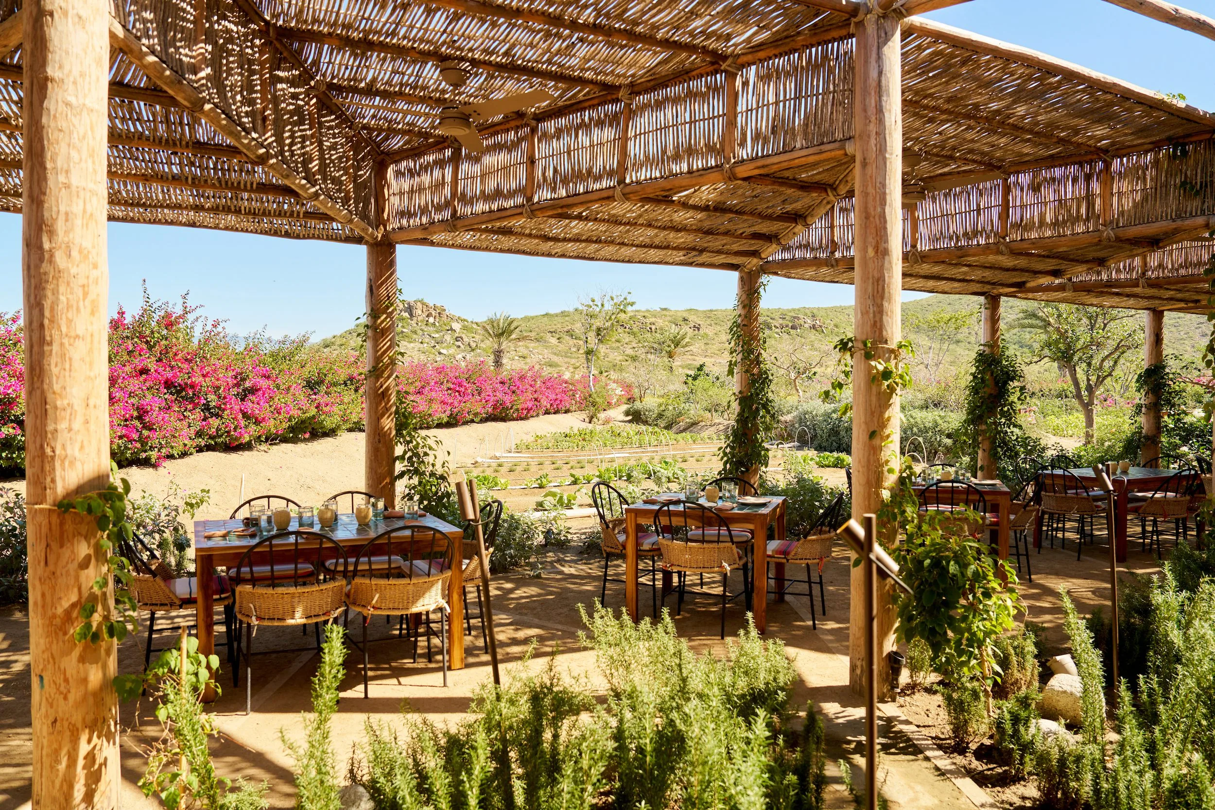 tables at Cosecha restaurant by the garden