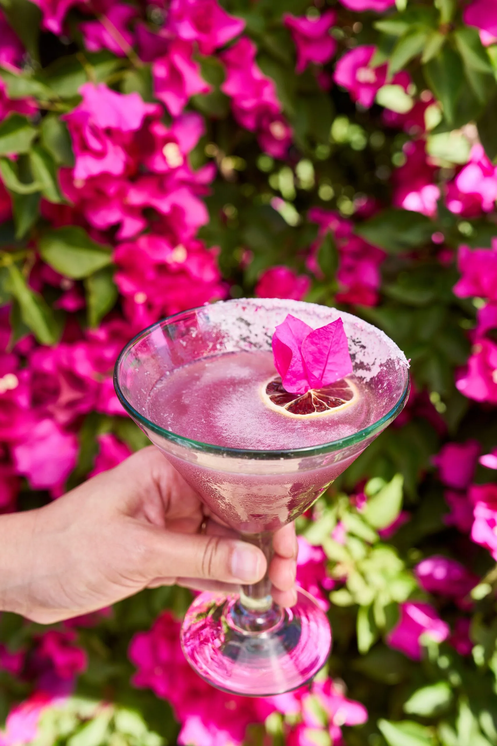 A cocktail in front of pink flowers