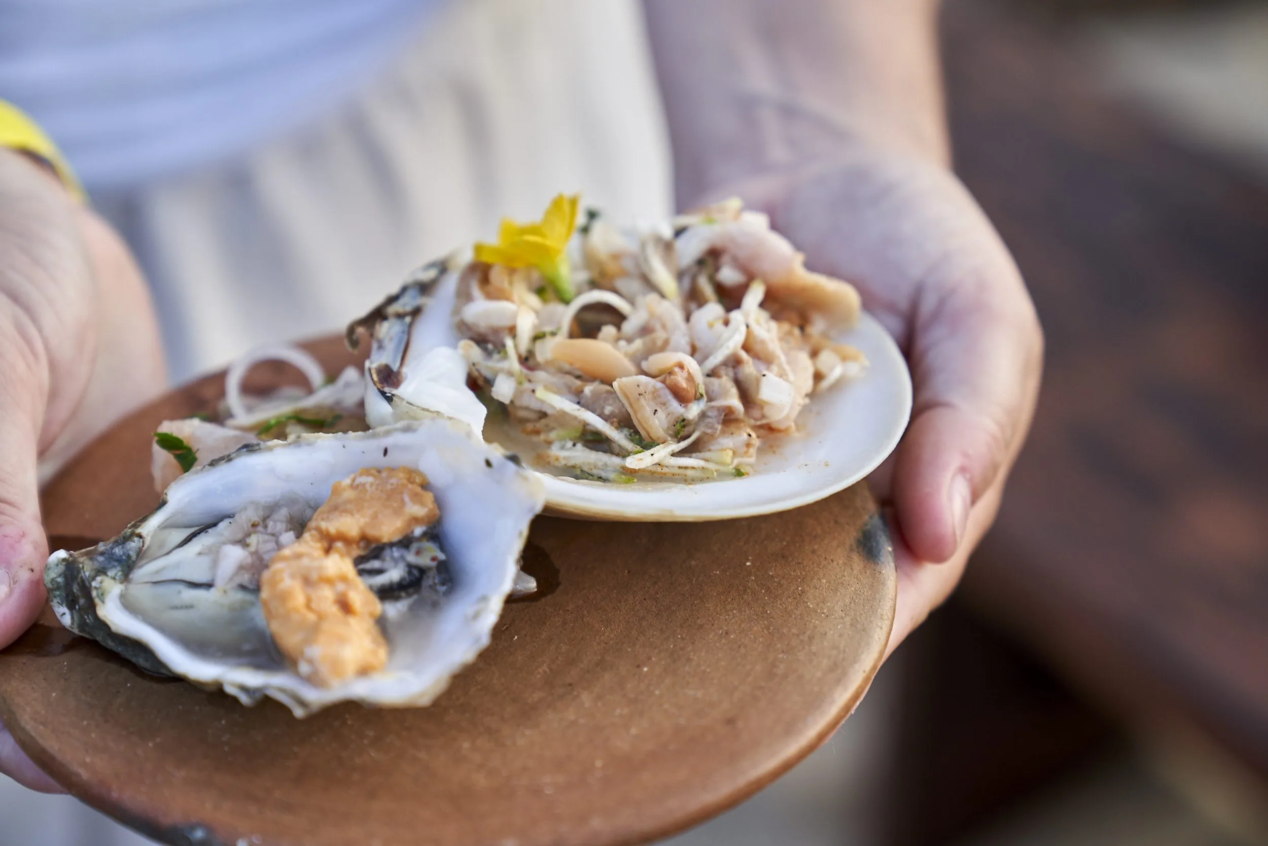 oysrers on the half shell being held