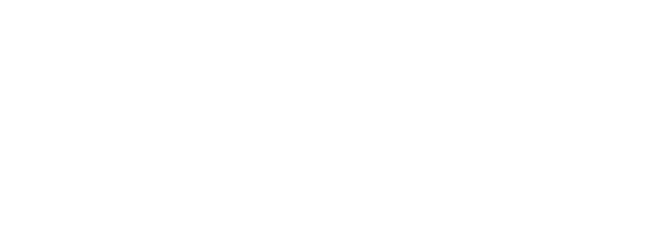 la playita logo
