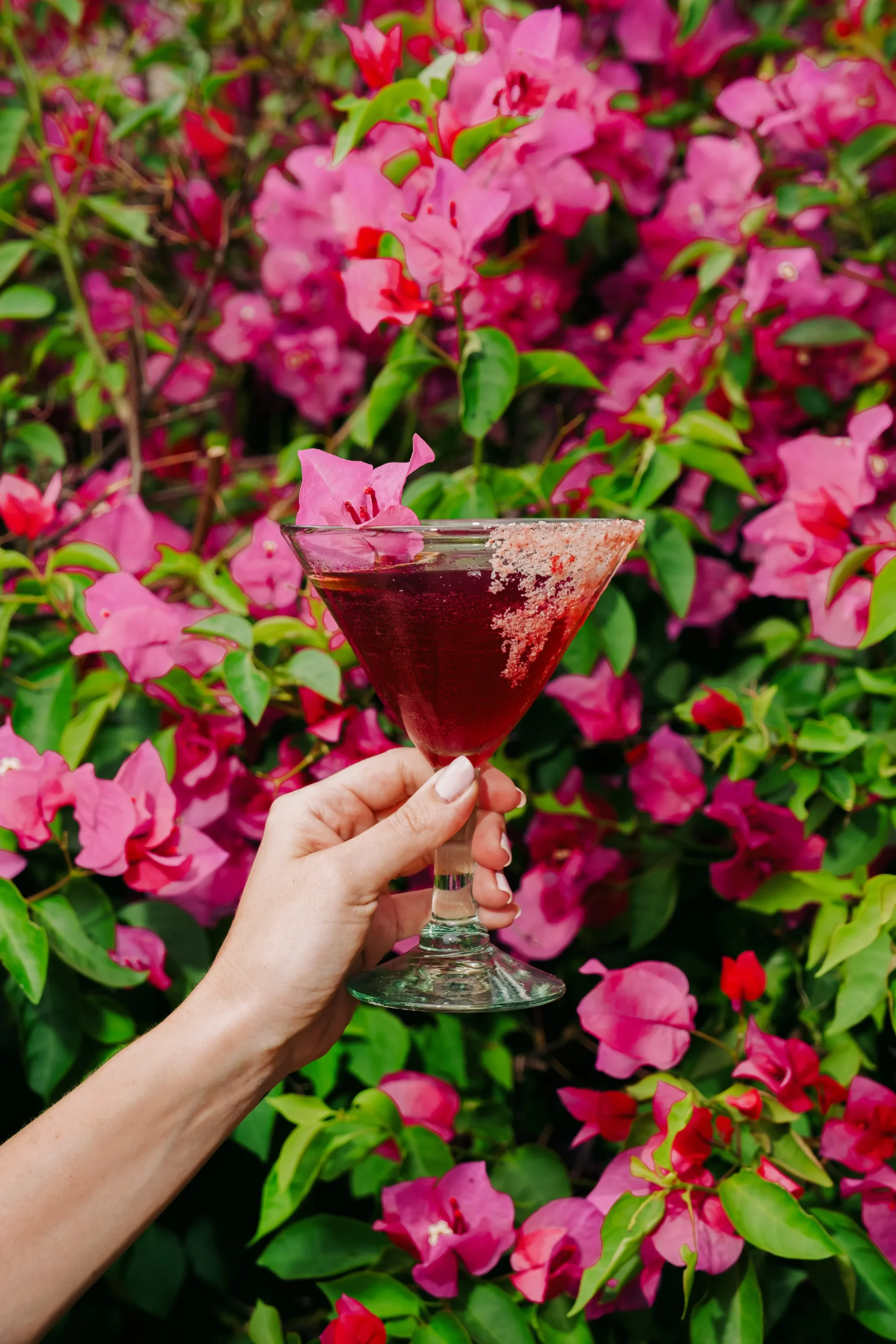 cocktail at cosecha infront of flowers