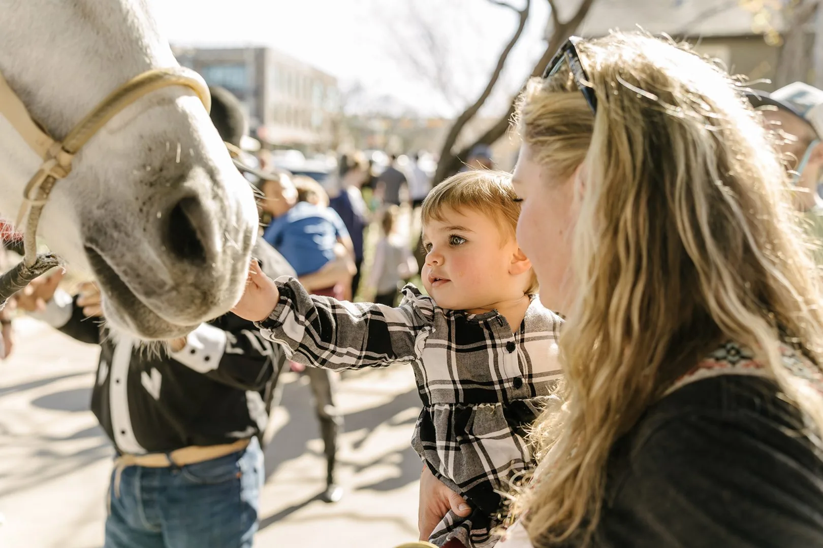A woman holding a toddler reaching for a horse