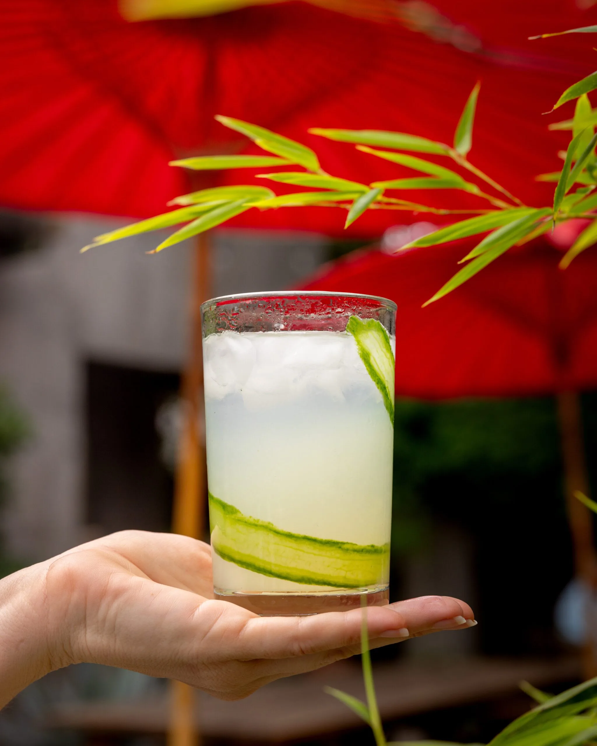 person holding a cucumber drink in a glass