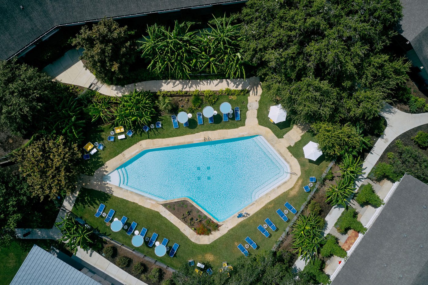 Ariel Shot of Shady Villa Hotel