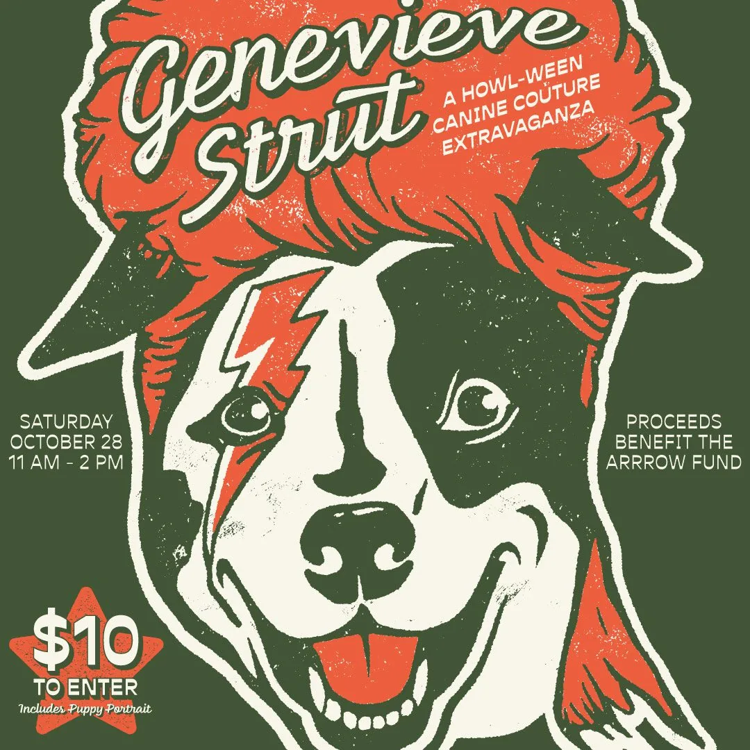 Genevieve Strut at Hotel Genevieve, Dog with a David Bowie Wig
