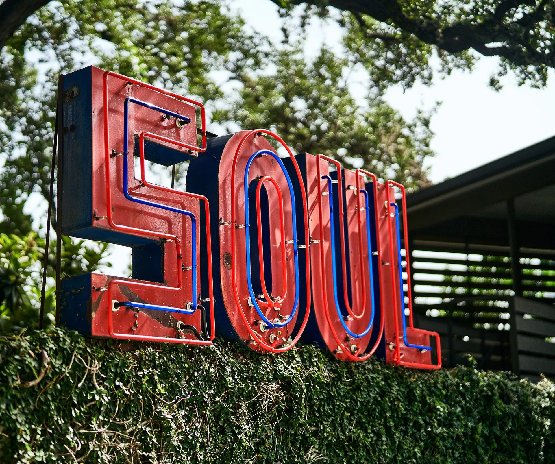 Neon sign that says "Soul" on top of landscaping