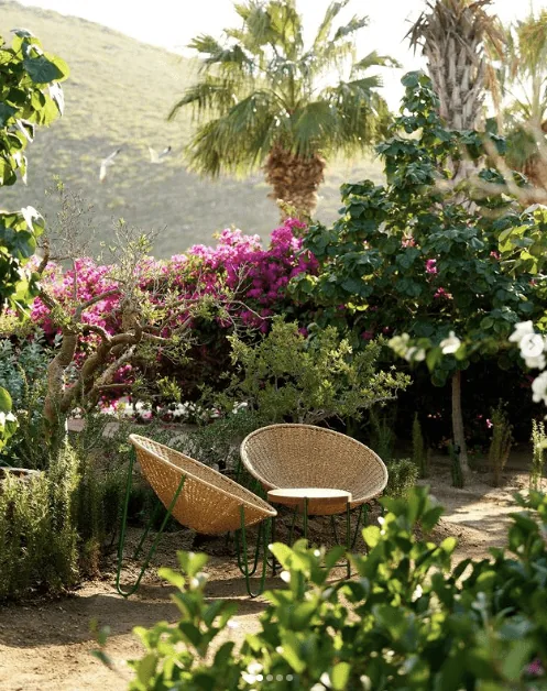 Two woven rattan chairs in front of a gorgeous Todos Santos vista